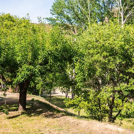 El Cerrao-paunatura Hostel Sot de Chera